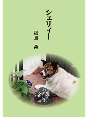 cover image of シェリィー